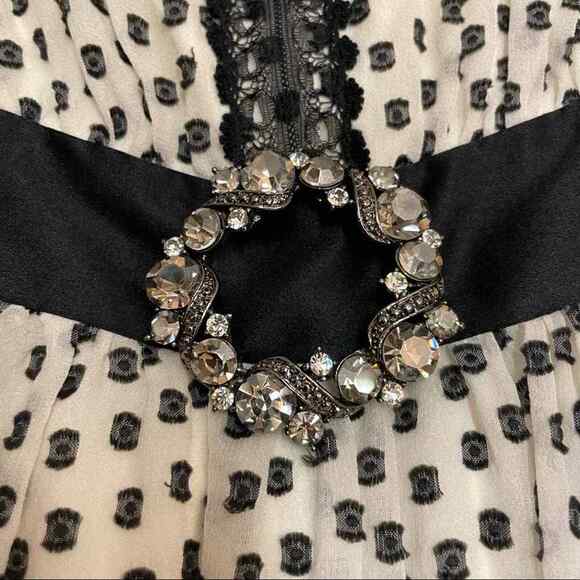 BCBGMAXAZRIA Silk Cream & Black Swiss Dot Lace Accent Mini Dress - Picture 6 of 12